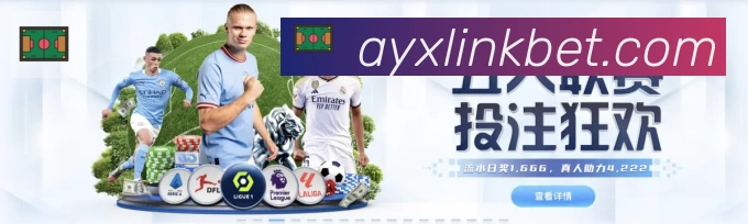 爱游戏服务体系